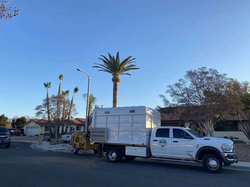 Affordable landscaping services near you in Perris, CA by J and m landscape