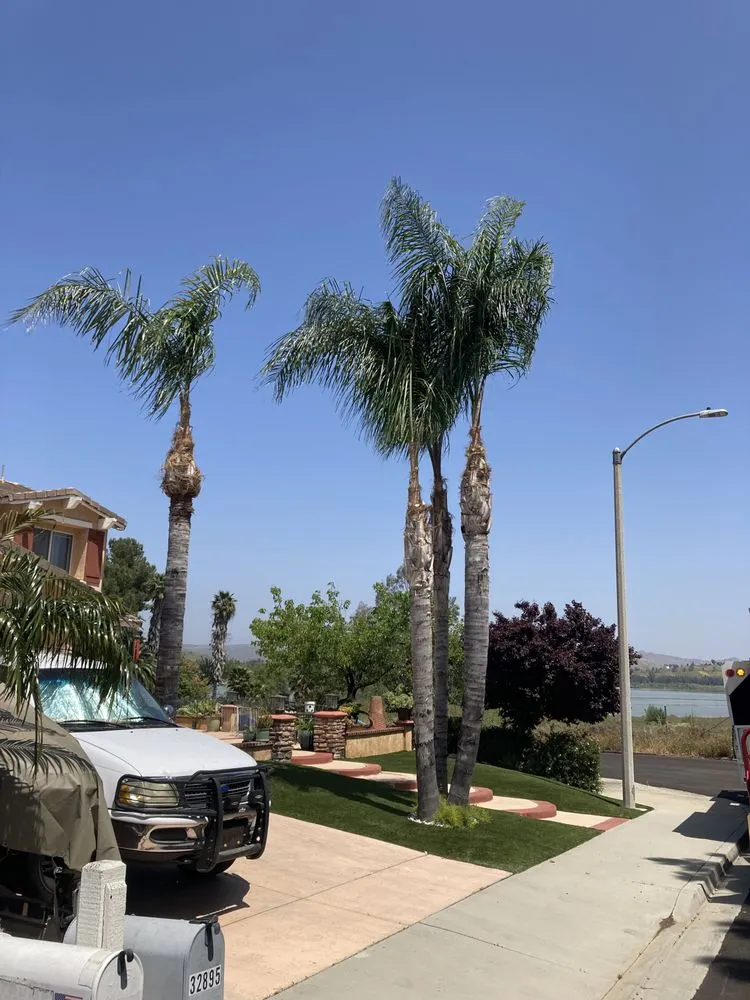 Top-rated lawn mowing service for outdoor upgrades across Perris, CA - J and m landscape