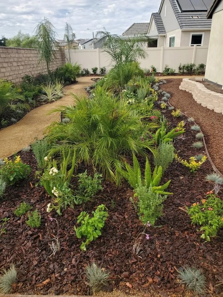 Expert yard cleanup service near you in Perris, CA by J and m landscape