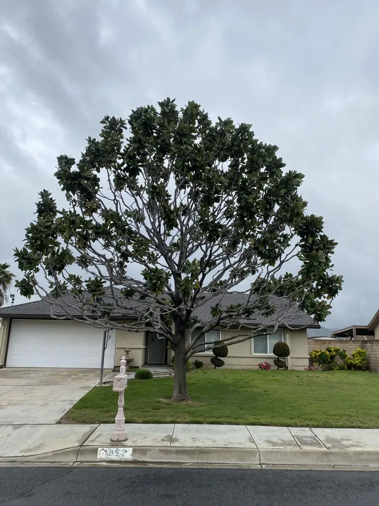 Top-rated landscaping services in Perris, CA - J and m landscape