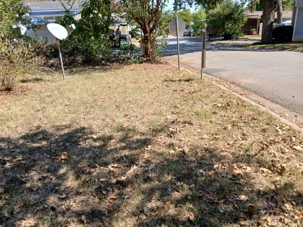 Affordable yard maintenance in Irving, TX - J and M Lawn Service