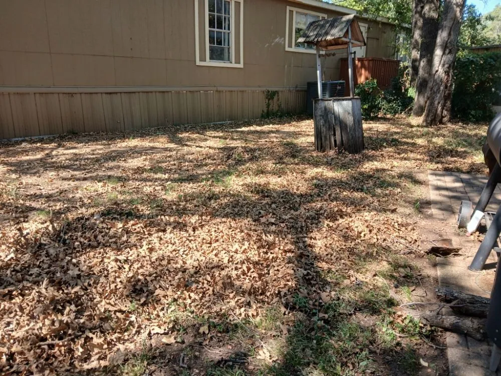 Affordable outdoor landscaping in Irving, TX - J and M Lawn Service