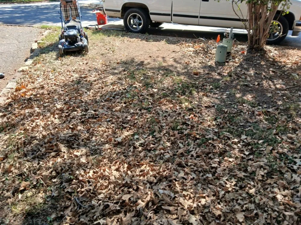 Local landscaping services for residential properties in Irving, TX by J and M Lawn Service