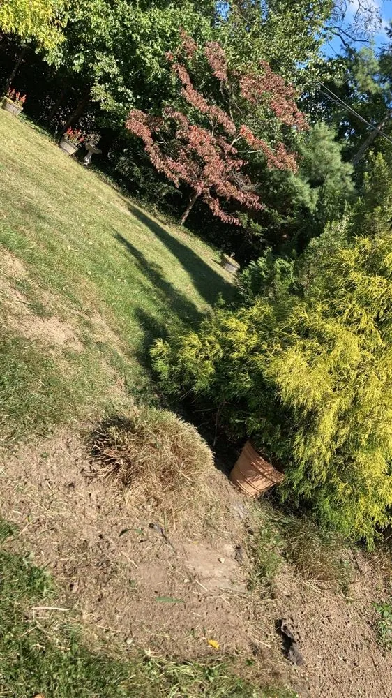 Reliable landscape design for homes across Lakeside Park, KY - J And M Pool and Lawn Services