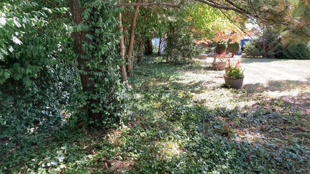 Top-rated outdoor landscaping for outdoor upgrades across Lakeside Park, KY - J And M Pool and Lawn Services