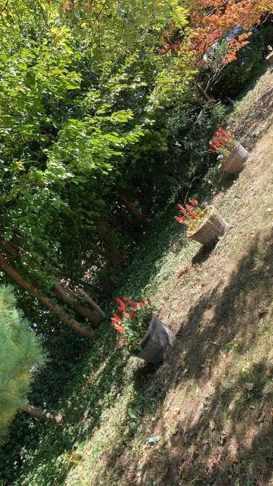 Reliable landscaping services experts serving Lakeside Park, KY - J And M Pool and Lawn Services