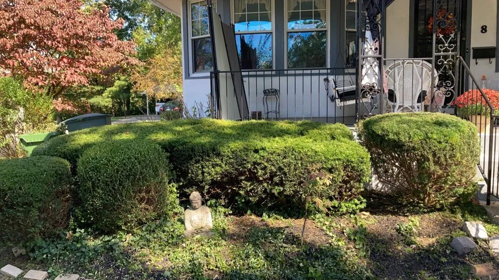 Professional outdoor landscaping experts serving Lakeside Park, KY - J And M Pool and Lawn Services