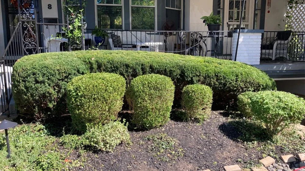 Local outdoor landscaping in Lakeside Park, KY by J And M Pool and Lawn Services