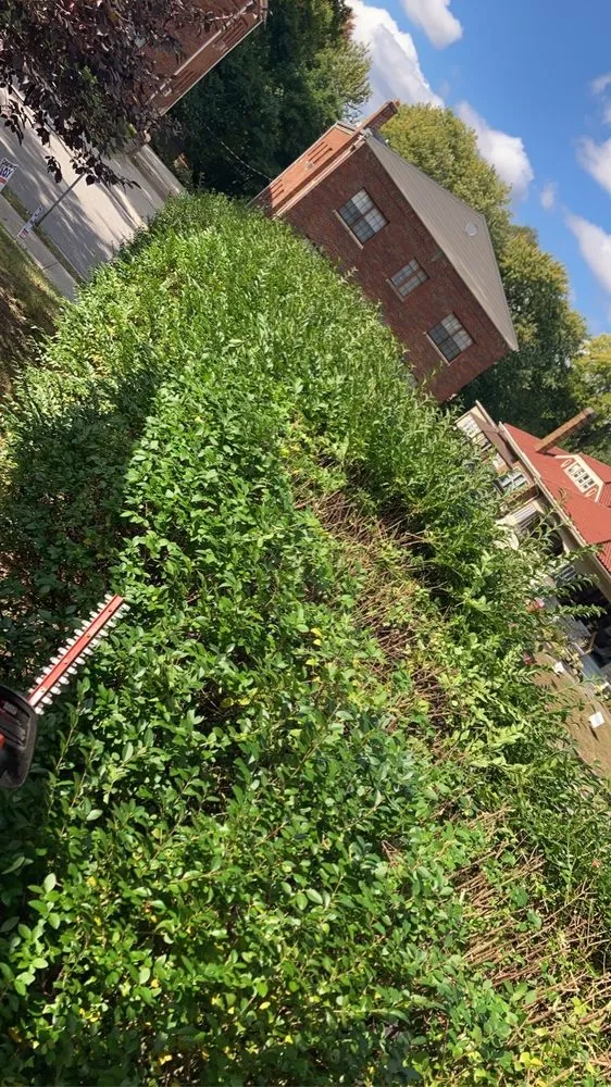 Reliable landscape installation in Lakeside Park, KY - J And M Pool and Lawn Services