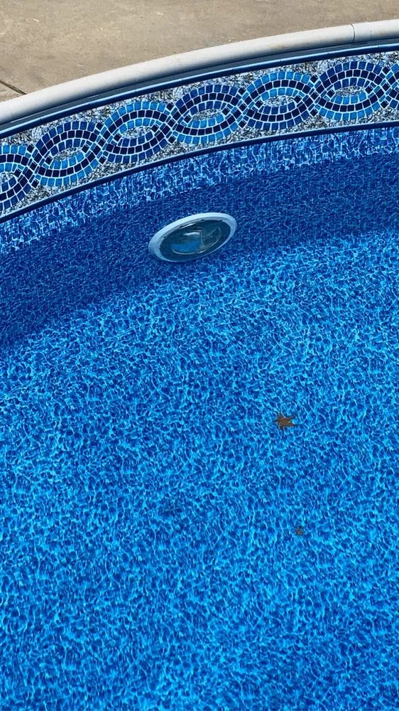 Top-rated yard maintenance in Lakeside Park, KY by J And M Pool and Lawn Services