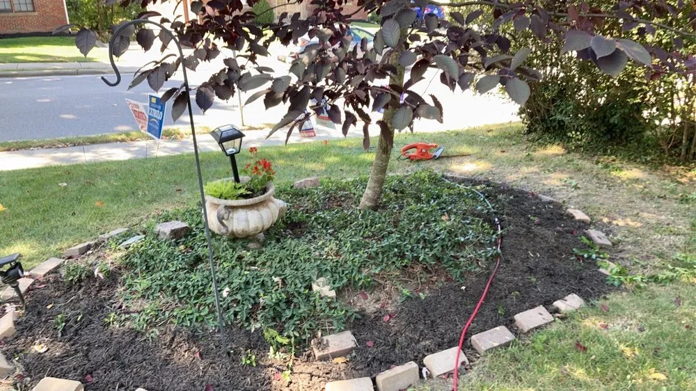 Top-rated landscape installation for beautiful yards in Lakeside Park, KY by J And M Pool and Lawn Services