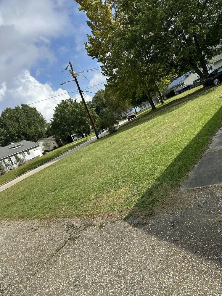 Professional lawn care service in Cameron, NC by J And M yard masters