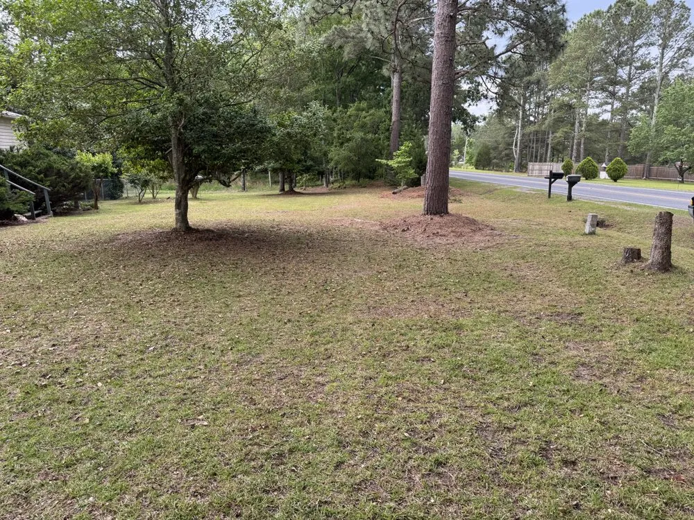 Professional outdoor landscaping in Cameron, NC by J And M yard masters