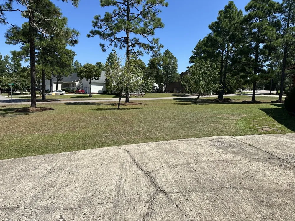 Custom lawn care service for year-round maintenance in Cameron, NC by J And M yard masters