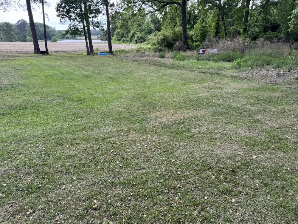 Expert residential landscaping for residential properties in Cameron, NC by J And M yard masters