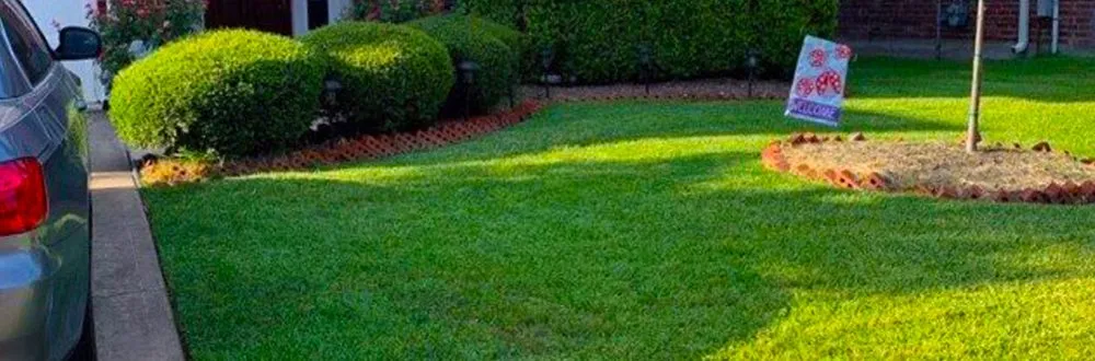 Professional landscape installation for year-round maintenance in Pflugerville, TX by J and R Lawn Services