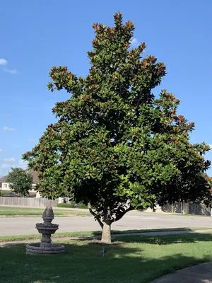 J and R Lawn Services Logo