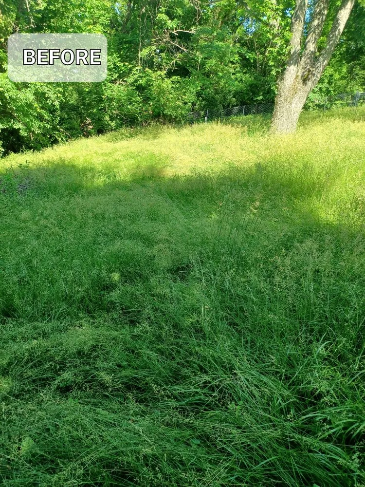 Trusted landscape installation in Saint Clair, MO by J and S Lawns