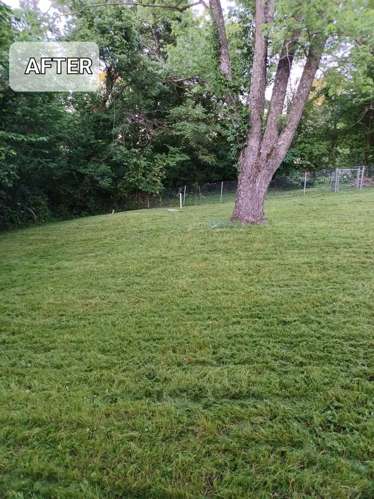 Reliable residential landscaping for residential properties across Saint Clair, MO - J and S Lawns