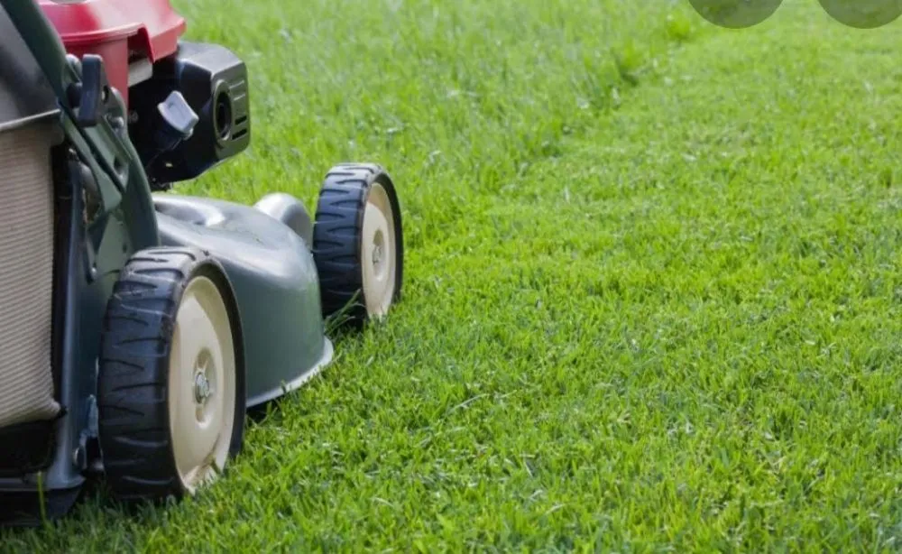 Affordable outdoor landscaping in Lubbock, TX - J and S Services