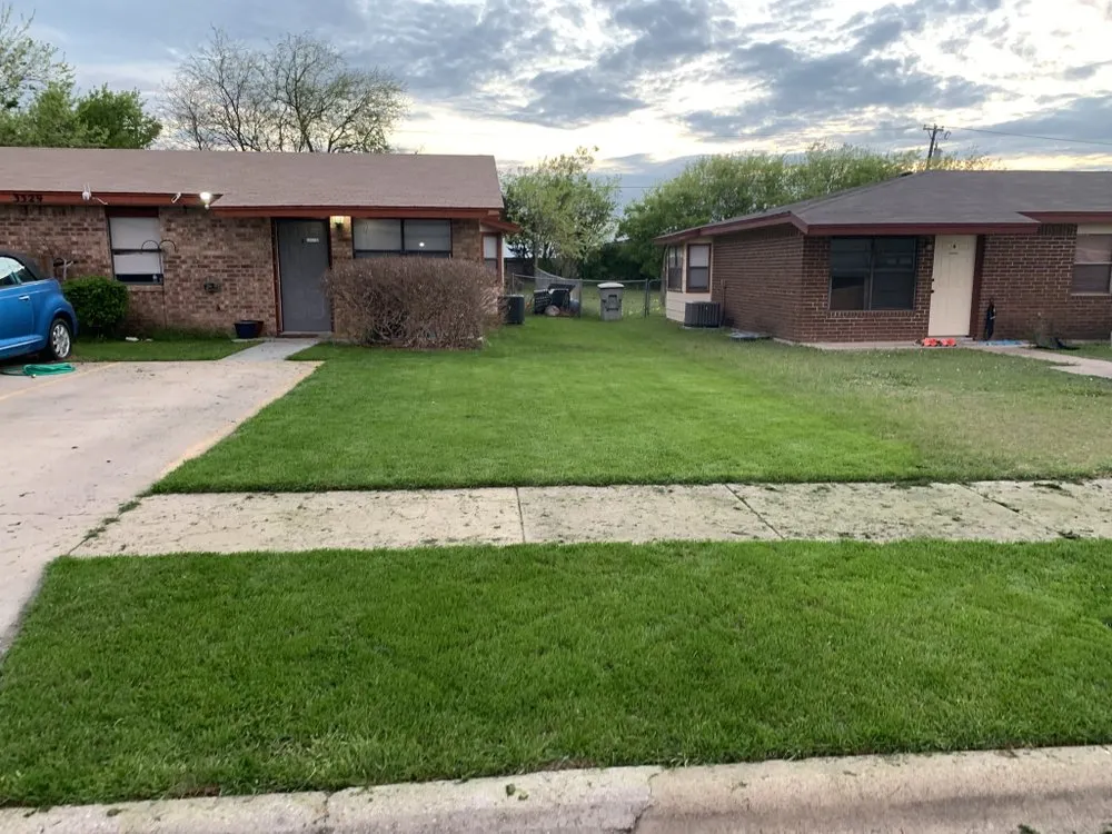 Trusted yard cleanup service with custom design in Killeen, TX by J and Z Lawn Care