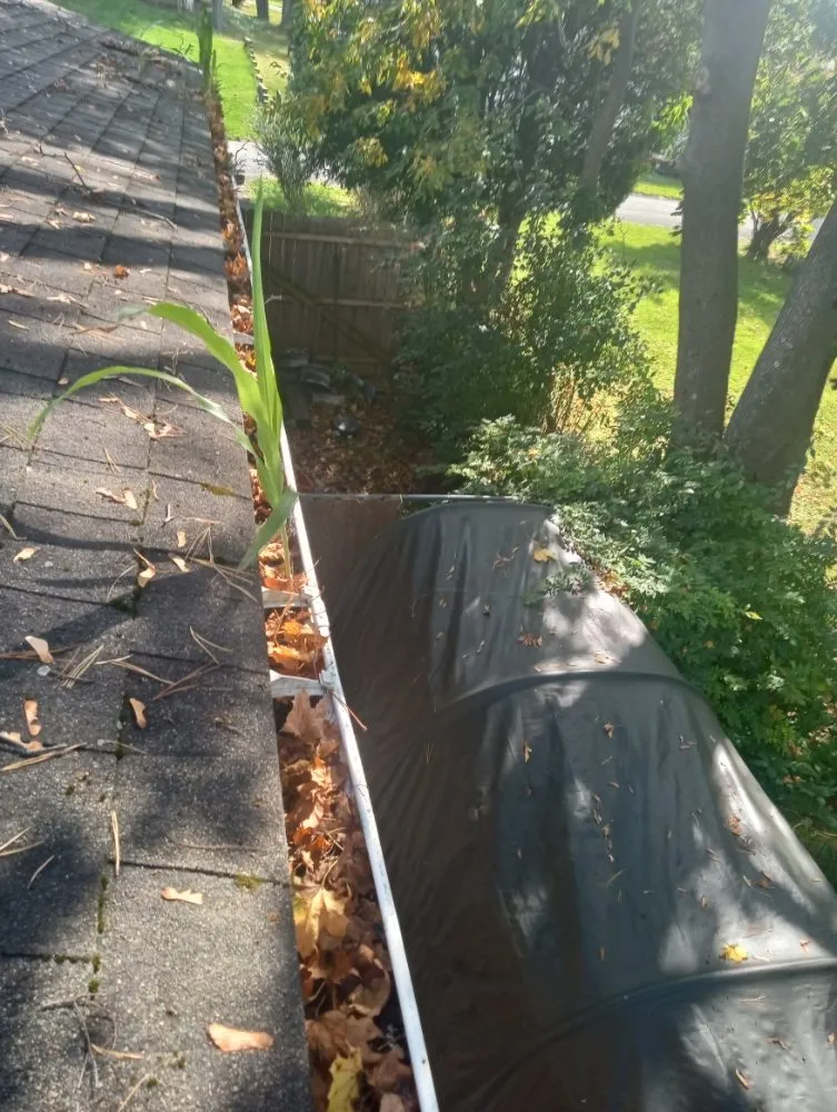 Top-rated outdoor landscaping experts serving Craryville, NY - J AndT Contracting And Lawn Maintenance