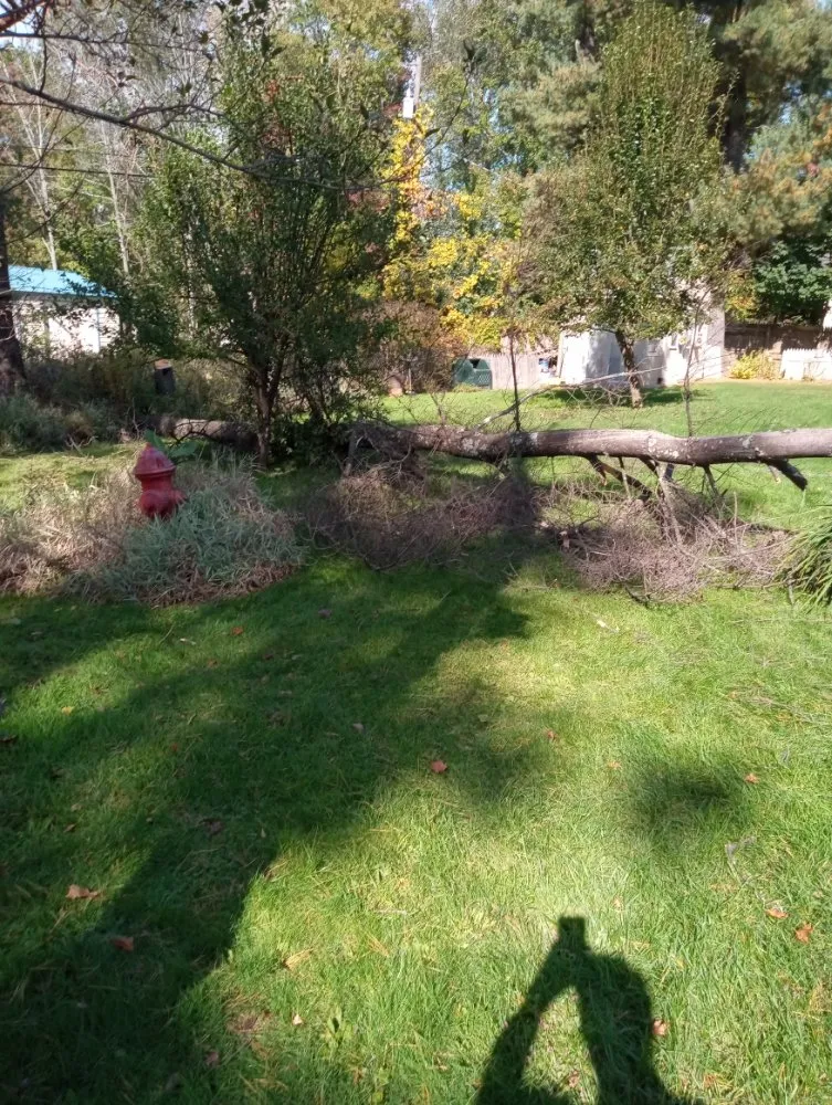 Reliable garden landscaping for residential properties in Craryville, NY by J AndT Contracting And Lawn Maintenance