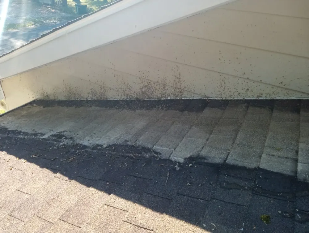 Custom yard cleanup service with custom design across Craryville, NY - J AndT Contracting And Lawn Maintenance