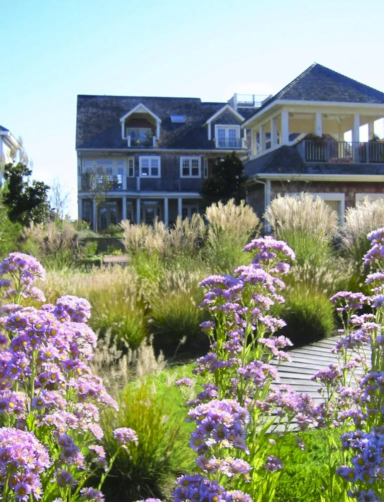 Expert landscape design experts serving Lewes, DE - J B Landscaping