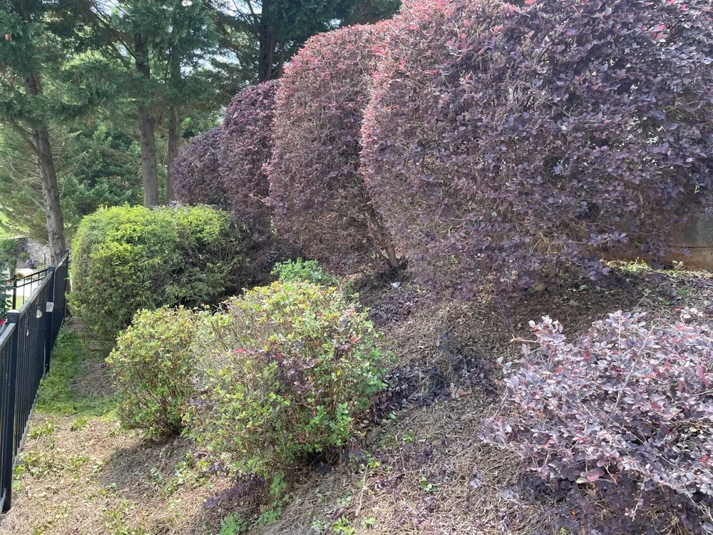 Local yard maintenance for outdoor upgrades across Newnan, GA - J B Landscaping