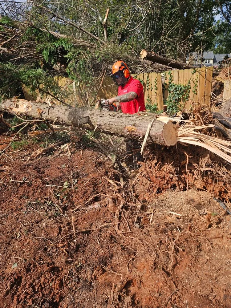 Top-rated lawn care service experts serving Greer, SC - J-B Landscaping Services