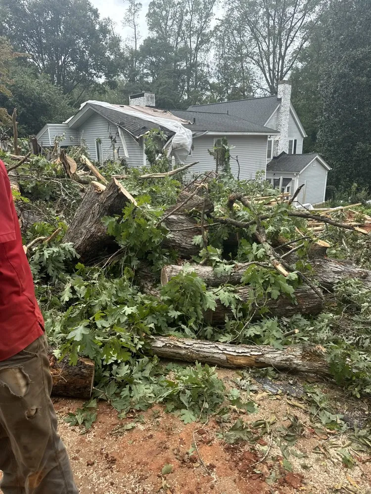 Local landscape installation for year-round maintenance across Greer, SC - J-B Landscaping Services