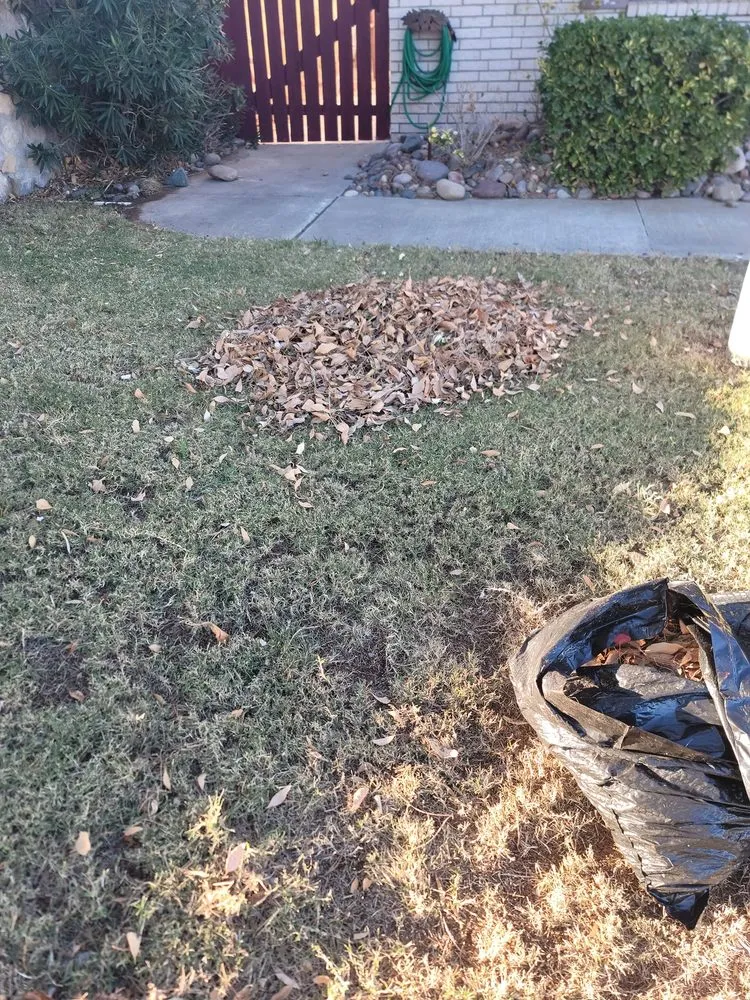 Affordable landscape design for outdoor upgrades in El Paso, TX by J B Lawn Care