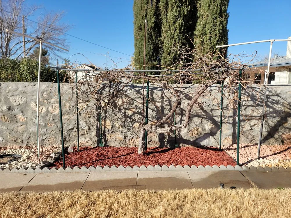 Expert outdoor landscaping for beautiful yards across El Paso, TX - J B Lawn Care