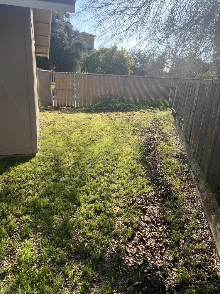 Expert landscape design in Fresno, CA by J B Lawn Maintenance