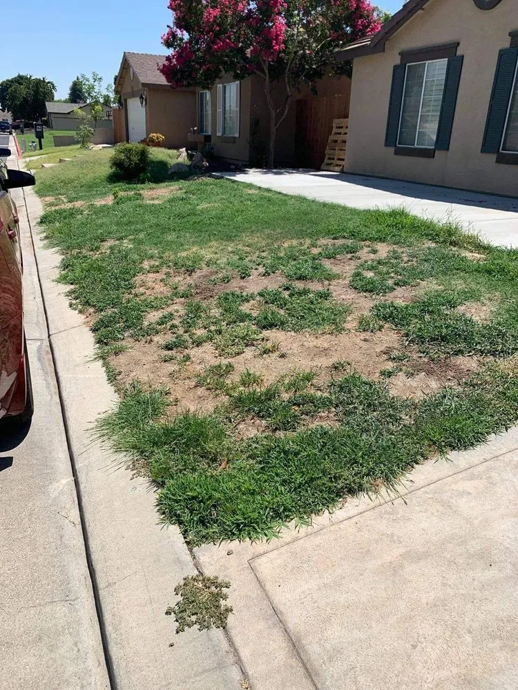 Trusted landscape installation near you in Fresno, CA by J B Lawn Maintenance