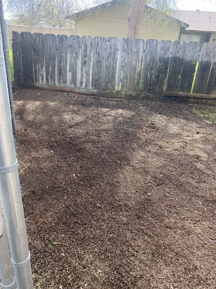 Professional yard cleanup service in Fresno, CA - J B Lawn Maintenance