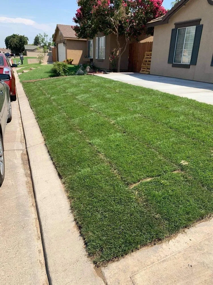 Top-rated landscape design for homes in Fresno, CA by J B Lawn Maintenance