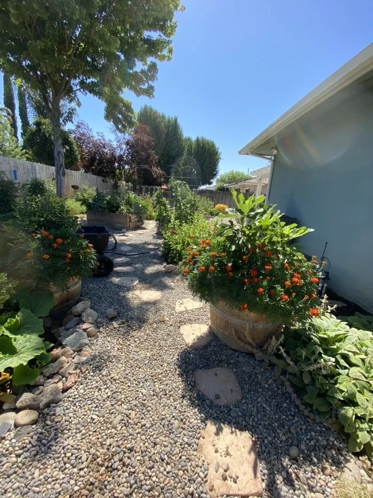 Top-rated yard maintenance in Fresno, CA by J B Lawn Maintenance