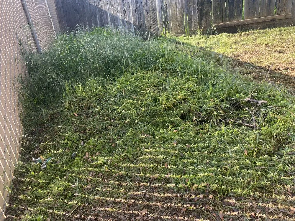 Custom landscaping services in Fresno, CA by J B Lawn Maintenance