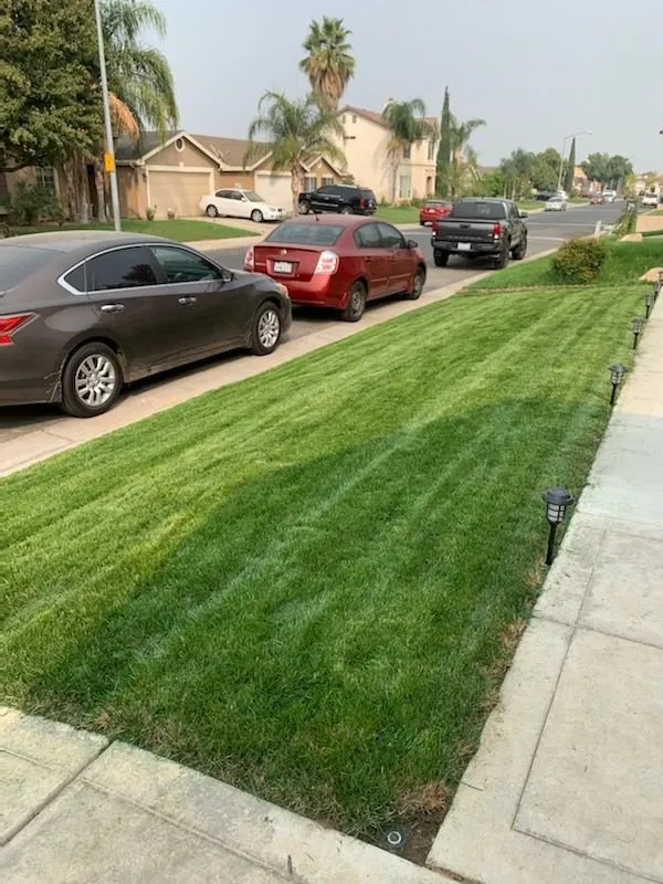 Custom yard cleanup service experts serving Fresno, CA - J B Lawn Maintenance