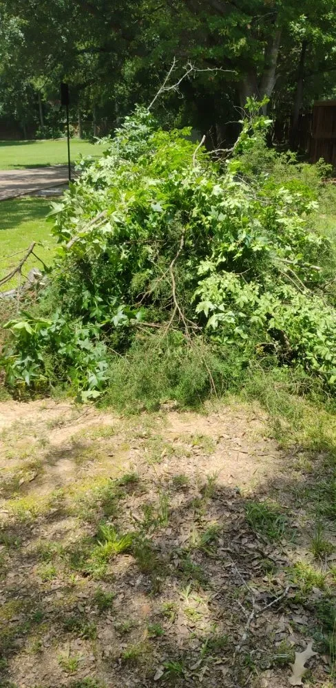 Affordable landscaping services for outdoor upgrades across Jackson, MS - J B Lawn Service