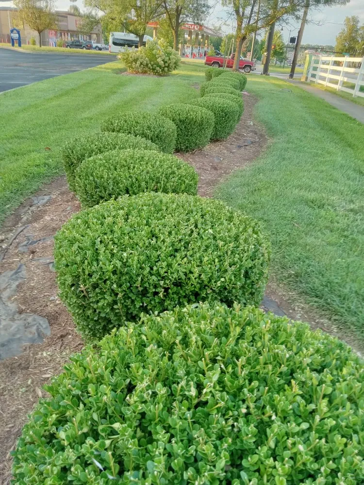 Affordable lawn care service for outdoor upgrades across Jeffersonville, IN - J &B Lawscaping