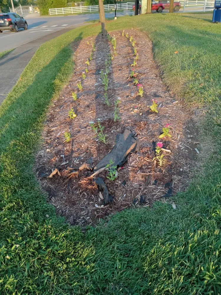 Expert landscape installation in Jeffersonville, IN by J &B Lawscaping