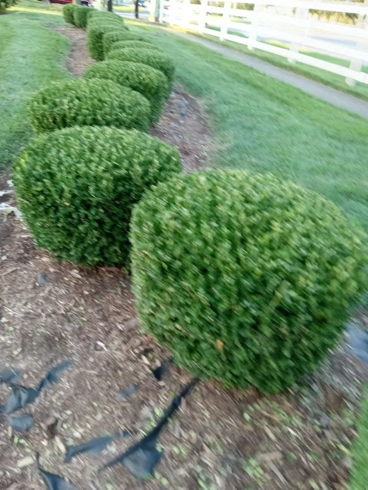 Custom landscape design for year-round maintenance in Jeffersonville, IN by J &B Lawscaping