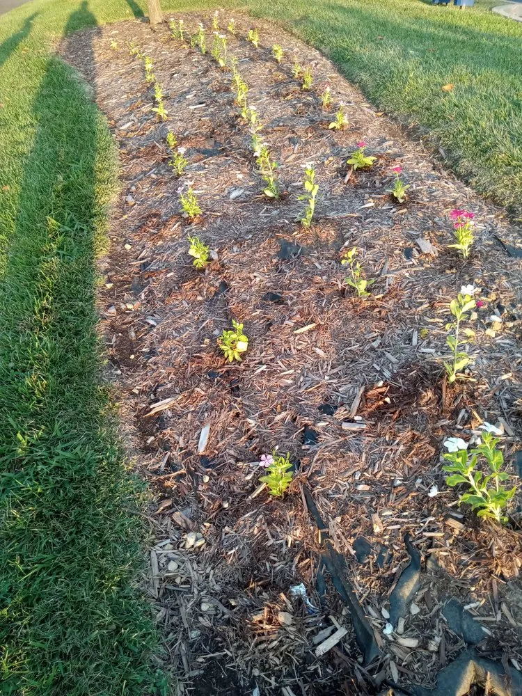 Expert yard maintenance in Jeffersonville, IN by J &B Lawscaping