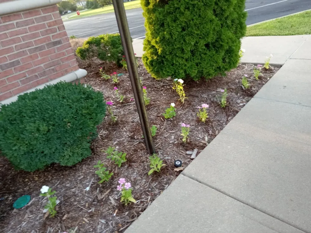 Reliable landscaping services in Jeffersonville, IN by J &B Lawscaping