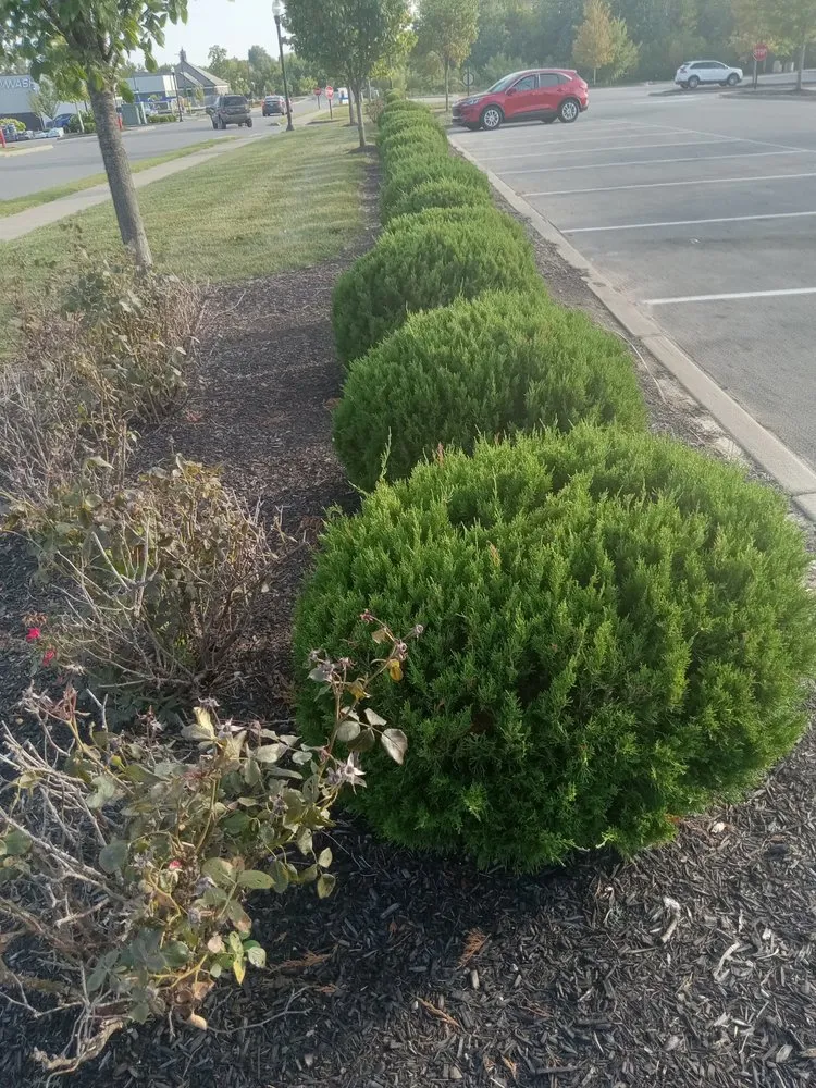 Custom lawn care service in Jeffersonville, IN by J &B Lawscaping