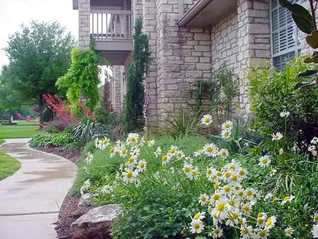 Trusted yard cleanup service for residential properties in Creedmoor, TX by J B Rogers Landscape Services