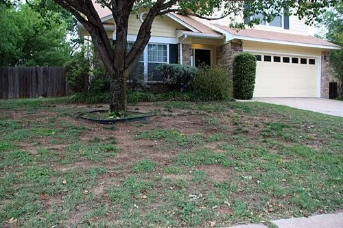 Affordable lawn care service experts serving Creedmoor, TX - J B Rogers Landscape Services